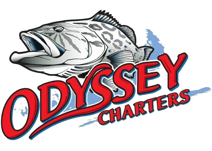 Odyssey Fishing Charters in Cape Canaveral, FL